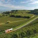 Travelling to the heartland of istria